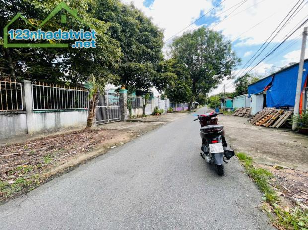 Bán Đất Mặt Tiền Đường 489 Xã Phạm Văn Cội, Diện Tích 365m2, Sổ Hồng Riêng - 2