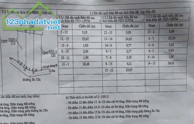 Chủ gửi bán 2 lô đất thổ 120m2 shr hẻm xe tải giá chỉ 999 tr gần chợ bình chánh - 3