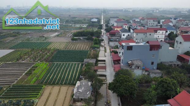 Bán 111.7m2 Lương Nỗ Tiên Dương Đông Anh Quy hoạch sát Vành đai 3 Tiềm năng tăng giá cao - 2