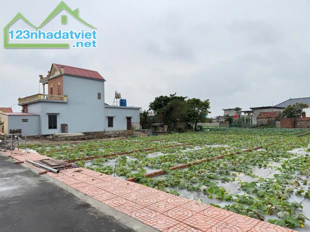 BÁN GẤP LÔ ĐẤT 147M² – MẶT TIỀN 6M – SÁT QUẢNG TRƯỜNG BIỂN QUẤT LÂM