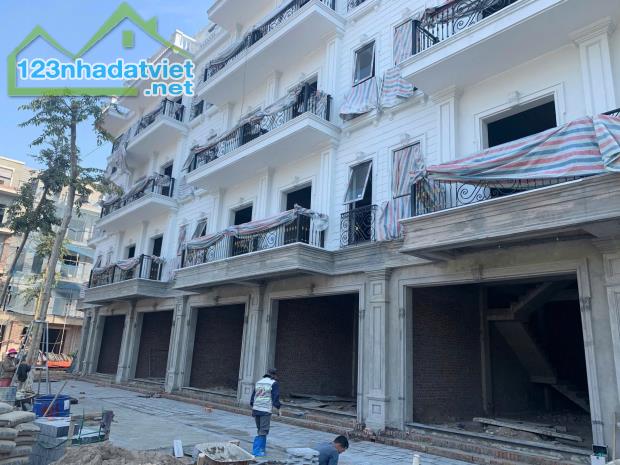 LIỀN KỀ 80M2, HƯỚNG ĐN, LK5 KĐT ĐÔNG DƯƠNG RESIDENCE – ĐỨC THƯỢNG - 2