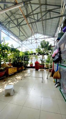 🌹NGỘP BANK BÁN GẤP NHÀ 5 TẦNG - 60M2 TRỊNH ĐÌNH TRỌNG - PHÚ TRUNG - TÂN PHÚ - HXH 7M - 5
