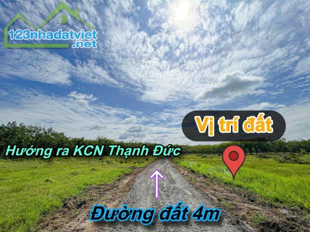 Thạnh Đức-Gò Dầu 1.5ha sẵn 2480m2 thổ cư đất kế kênh mát mẻ đường oto tới đất giá chỉ - 2