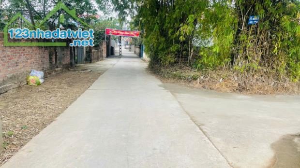 Bán đất Xuân Đồng Tân Minh, Sóc Sơn 45m2 Full thổ cư ô tô thông giá 980tr - 1