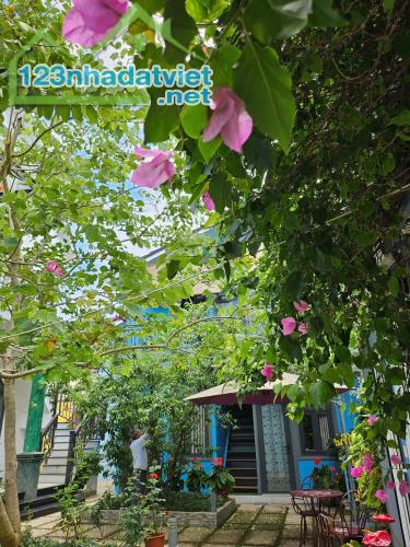 HOMESTAY VẠN HẠNH P8 GIÁ CHỈ 22 TỶ VNĐ