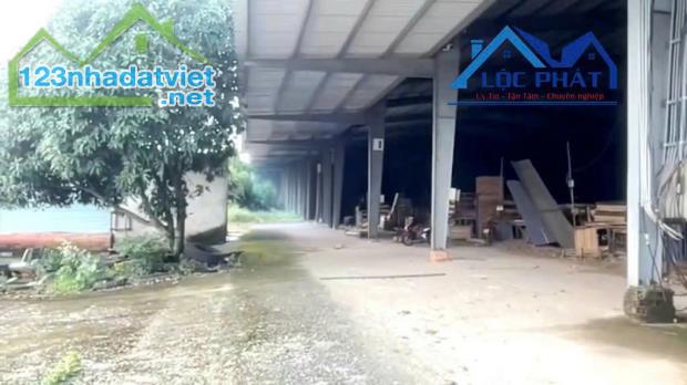 Bán xưởng Thống Nhất Dầu Giây Diện Tích 10.000 m2 chỉ 32 tỷ - 2