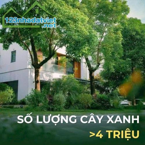 Eco Retreat – Mảnh Ghép Sinh Thái Hoàn Hảo Cho Người Sài Gòn - 4