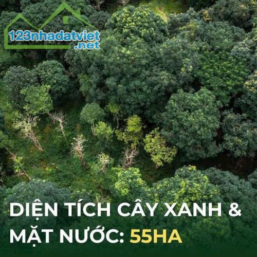 Eco Retreat – Mảnh Ghép Sinh Thái Hoàn Hảo Cho Người Sài Gòn - 3