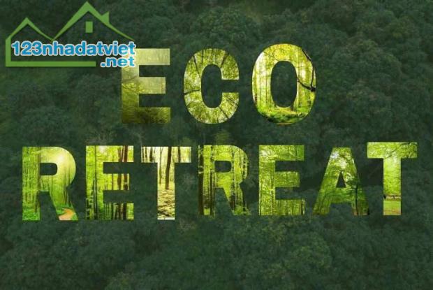 Eco Retreat – Mảnh Ghép Sinh Thái Hoàn Hảo Cho Người Sài Gòn - 1