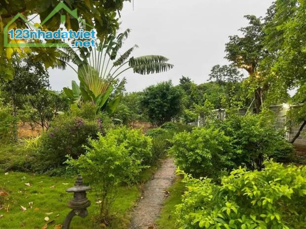 Bán gấp nhà 4075m2. giá 1,2 tỷ, nhà cấp 4 nhà chòi, sân vườn, cây trái - 3