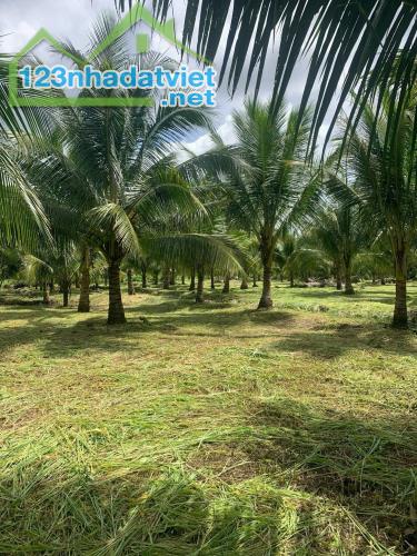 💥 BÁN 3HA ĐẤT MÔ HÌNH PHÁT TRIỂN DU LỊCH SINH THÁI. 7 Tỷ 200 - 1