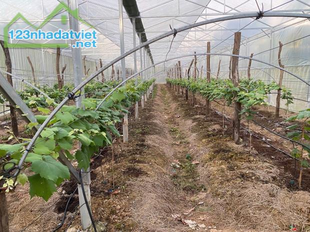 💥 BÁN 3HA ĐẤT MÔ HÌNH PHÁT TRIỂN DU LỊCH SINH THÁI. 7 Tỷ 200 - 2