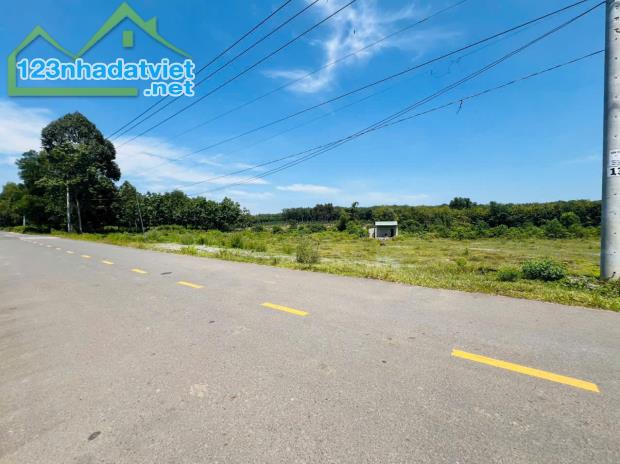 Cần bán gấp 200m2 có thổ cư mặt tiền đường ĐH504, Phú Giáo, Bình Dương giá chỉ : 650 triệu