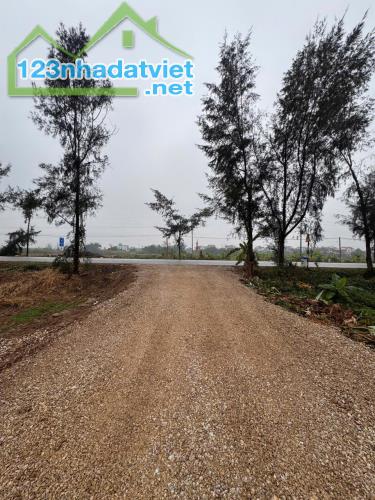 NHÀ ĐẤT ĐẸP - GIÁ TỐT Vị Trí Đắc Địa Tại Minh Hiệp 1,  Xã Hồng Phong, Huyện Nam Sách, Hải - 1