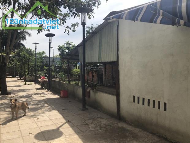 Đất đã có ranh, rào rõ ràng, cho thuê giá rẻ, kết nối được internet, điện nước và cống. - 1
