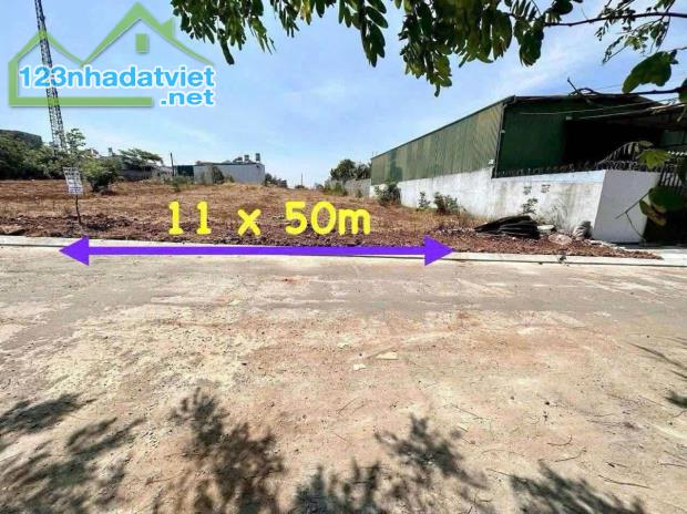 Đất mặt hẻm 442 Y Moan - 11 x 50m (pháp lý nông nghiệp) - 2