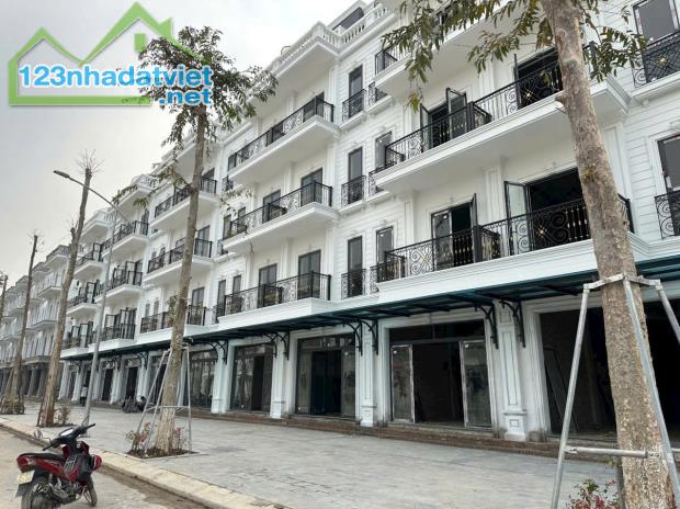 BÁN 2 CĂN LK4 HƯỚNG ĐÔNG NAM, KHU ĐÔ THỊ ĐÔNG DƯƠNG RESIDENCE – ĐỨC THƯỢNG - 3