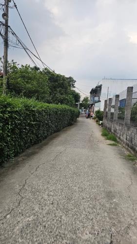 Bán Nhà Nguyễn Thị Ngâu,210m2, Chia làm 2 căn, đường 4m thông tứ tung. - 4