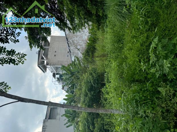 Đât phân lô, Bưng Ông Thoàn, 450m2, đường 10m, ngay Liên Phường, giá 18.5ty - 3