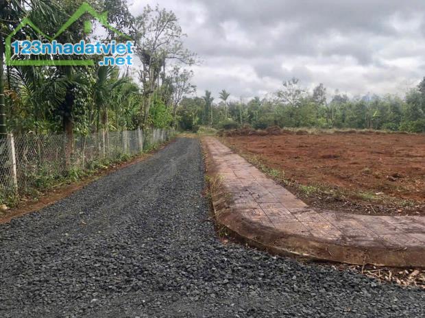 6 LÔ LK TARA-HOÀ ĐÔNG THỔ CƯ FULL 100% GIÁ SIÊU ĐẦU TƯ - 1