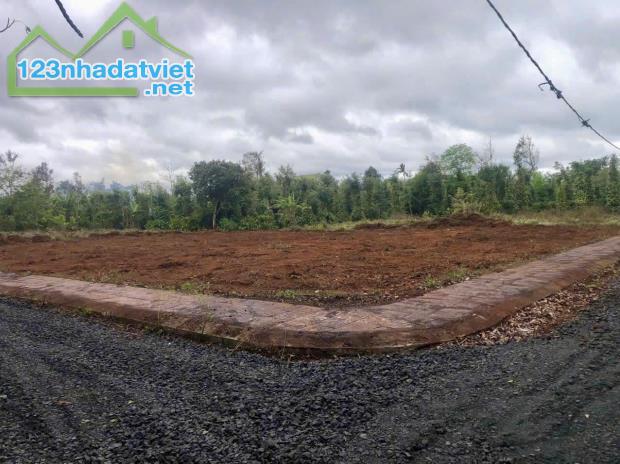 6 LÔ LK TARA-HOÀ ĐÔNG THỔ CƯ FULL 100% GIÁ SIÊU ĐẦU TƯ - 3