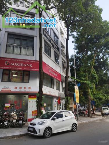 Bán Gấp  Giảm Chào 3 Tỷ Nhà 9 Tầng Mặt Phố Vạn Bảo Vạn Phúc Giá Chỉ 29 Tỷ - 2