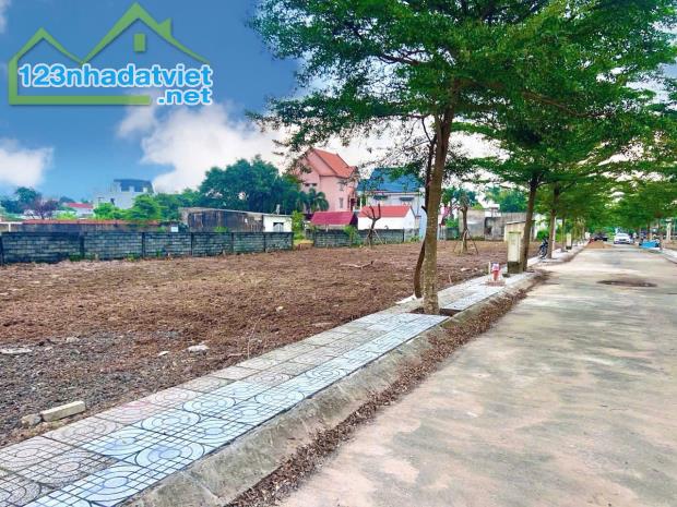 Bán đất tại đường Cây Da, Tân Phú Trung, Củ Chi, 1,9 tỷ, 100m2 - 2