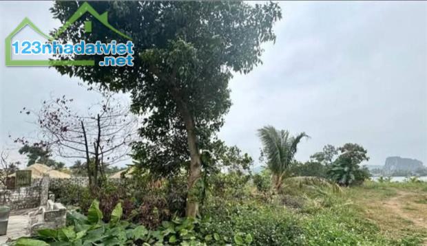 Bán đất tỉnh lộ 359, My Sơn, Ngũ Lão, TP.Thủy Nguyên, Hải Phòng. 808m2, ngang 17,8m, 44,44 - 2