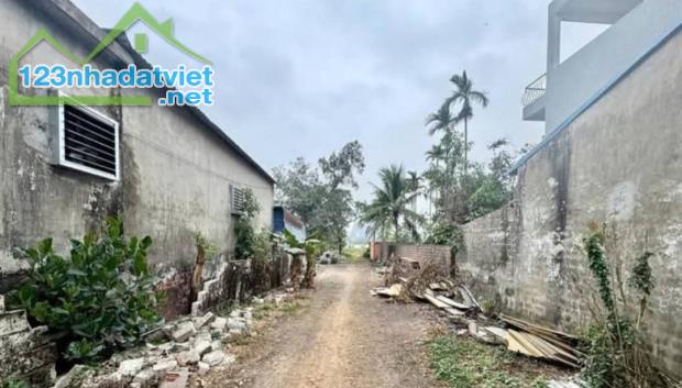 Bán đất tỉnh lộ 359, My Sơn, Ngũ Lão, TP.Thủy Nguyên, Hải Phòng. 808m2, ngang 17,8m, 44,44