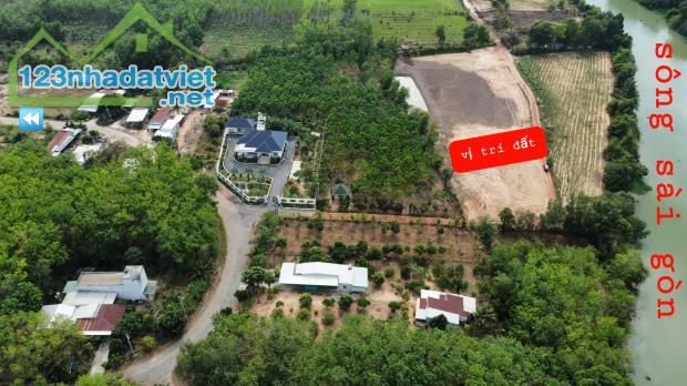 BÁN GẤP 4 LÔ 20X46=920M2 SHR THỔ CƯ DÂN ĐÔNG, NGAY KCN DẦU TIẾNG GIÁ 580TR - 5