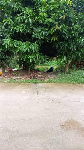 CHÍNH CHỦ Cần Bán Gấp Căn Nhà Vị Trí Đẹp Tại Xã Phi Thông, Rạch Giá, Kiên Giang - 1