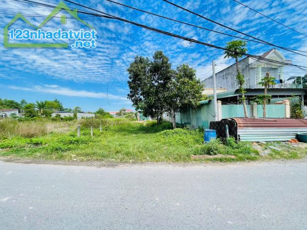 Đất Mặt Tiền Đường Số 5 Xã Tân Thông Hội, Diện Tích 160m2, Sổ Hồng Riêng - 2