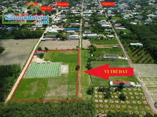 Bán gấp 15.000m2 đất ở thị trấn Tân Châu Tây Ninh