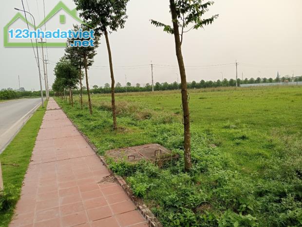 CHUYỂN NHƯỢNG Đất Khu Công Nghiệp Tại ÂN THI. HƯNG YÊN - 1
