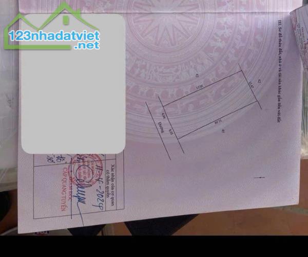 Bán 386m Đất Đông Ninh,Khoái Châu,Hưng Yên,Giá 18.xtr/m.Phù hợp Nghỉ Dưỡng,Chia Lô - 2
