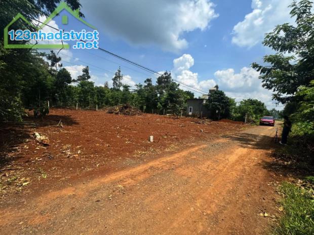 Bán 125m² Đất Xã Hoà Đông, Krông Pắc – Cạnh Trường Tiểu Học Cư Pul – Giá 4,4 Triệu/m²