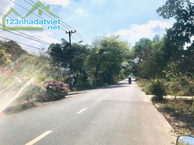 Bán Đất Mặt Tiền Xã Nhuận Đức, Diện Tích 215m2, Sổ Hồng Riêng - 1