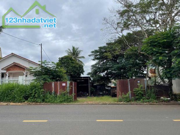 MẶT TIỀN 24x20m MAI XUÂN THƯỞNG- BMT 🍓 - 1