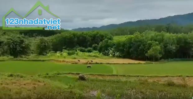 BÁN LÔ ĐẤT VIEW ĐỒI NÚI TUYỆT ĐẸP – GẦN KHU DU LỊCH ĐẬP TRÀN, PHÚ LỘC, TP HUẾ