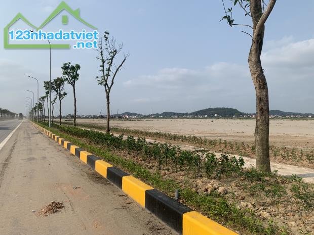 Chuyển nhượng 10.000m2  Khu Công nghiệp Gia Bình 2 - Bắc Ninh, bàn giao ngay - 3