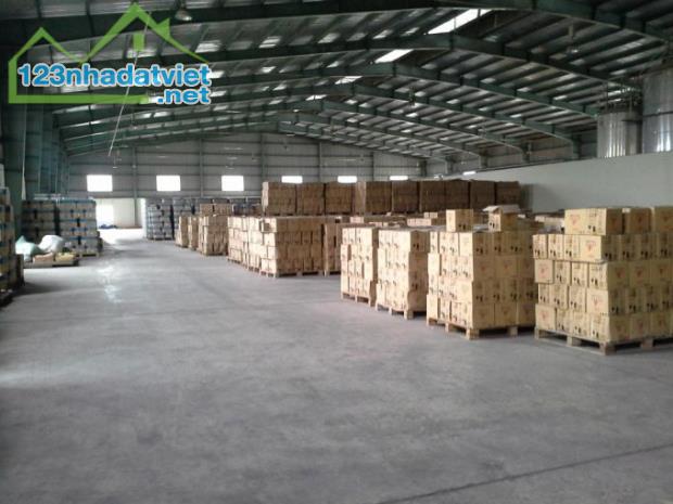 CHO THUÊ KHO MẶT TIỀN VÕ NGUYÊN GIÁP CÁI RĂNG CẦN THƠ 1700M2