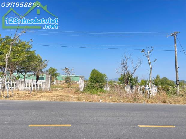 Bán đất thổ cư Đường Hùng Vương, Thị xã LaGi thổ cư 500m2 giá rẻ nhất view Biển - 4