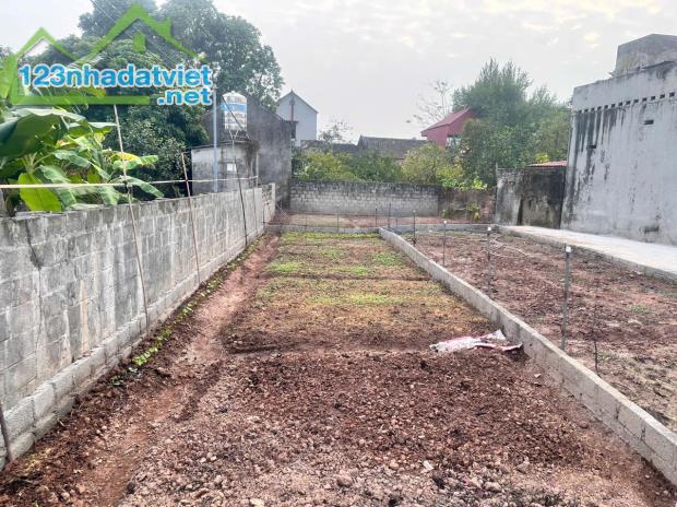 Bán đất Long Hưng, Văn Giang, Hưng Yên, 62m2, đường ô tô tránh, full thổ,2.x tỷ.0971320468 - 1