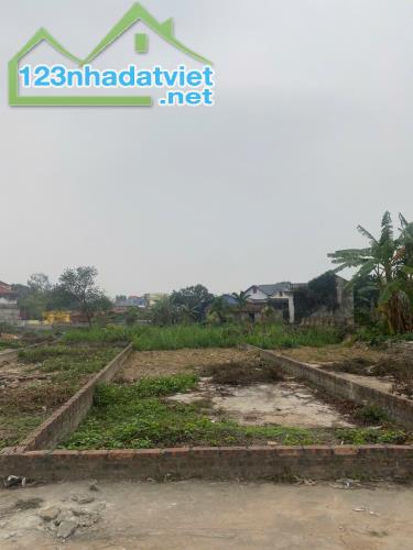 BÁN ĐẤT THANH TRÍ, MINH PHÚ, SÓC SƠN, HÀ NỘI. 97M2, 2 MẶT TIỀN. GIÁ 24,5 TR/M - 2