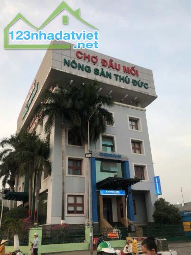 BÁN NHÀ THUẬN AN 2 TẦNG 209 M2 GIÁ 5,2 TỶ TL - 1