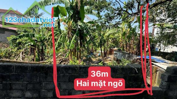 Bán Đất 36M Phượng Đồng Phụng Châu Chương Mỹ. - 1