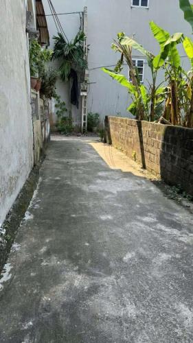 Bán Đất 36M Phượng Đồng Phụng Châu Chương Mỹ. - 2
