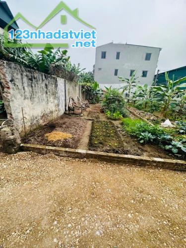 BÁN ĐẤT HƠN 3 TỶ TẠI THỤY LÂM,ĐÔNG ANH - 1