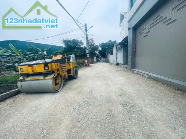 BÁN ĐẤT HƠN 3 TỶ TẠI THỤY LÂM,ĐÔNG ANH - 2