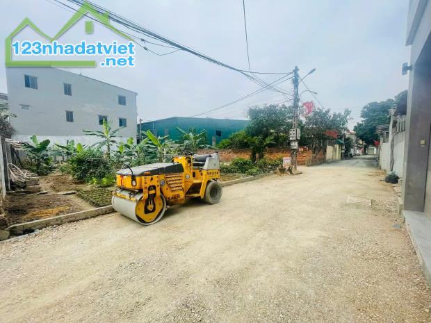 BÁN ĐẤT HƠN 3 TỶ TẠI THỤY LÂM,ĐÔNG ANH - 3